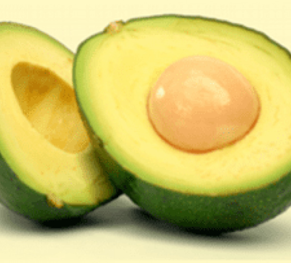 Hass Avocado Image