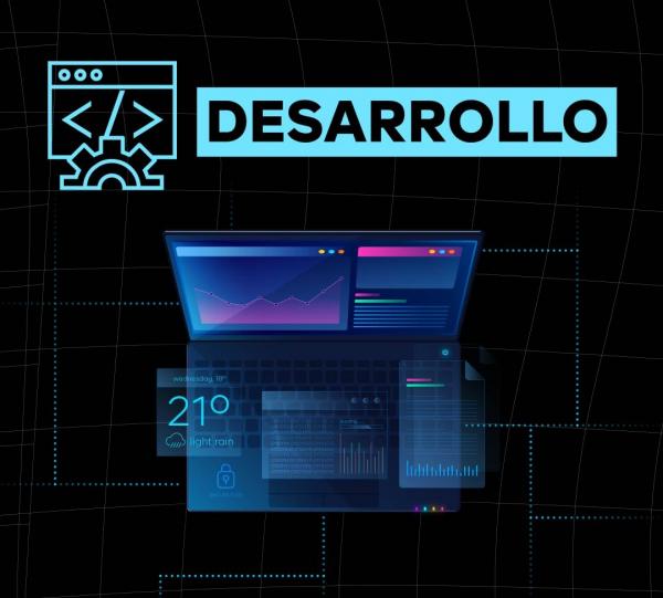 Custom Development Image