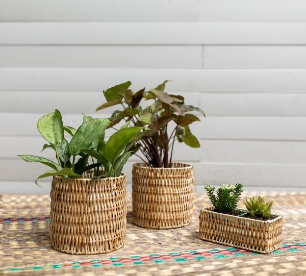 Hand-woven wicker art baskets Image