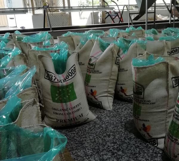 Conventional and Specialty Green Coffee Image