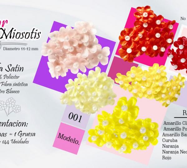 Forget-me-not Flower Image