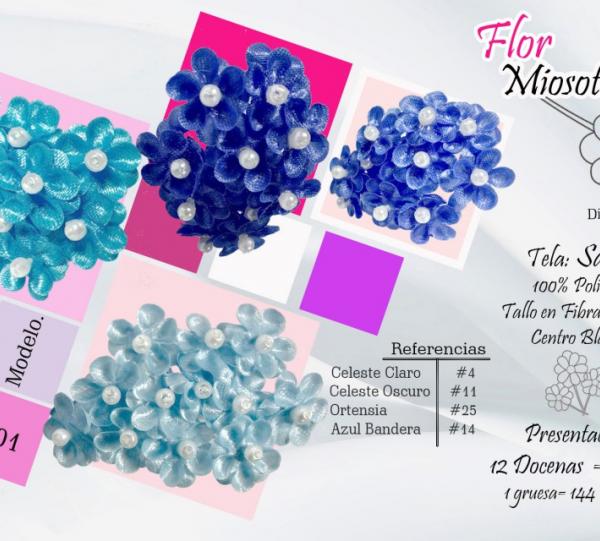 Forget-me-not Flower Image