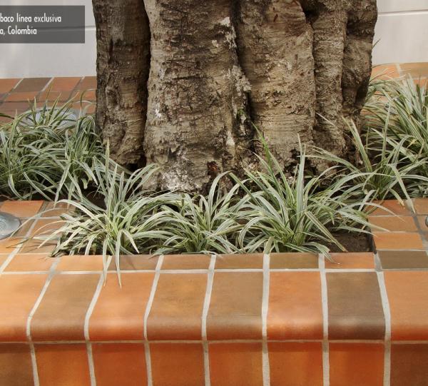 Breakwaters exclusive line Image