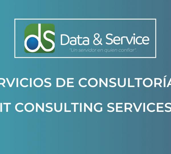 IT Consulting Services Image