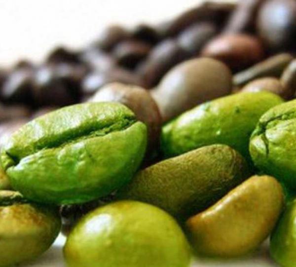 Green Coffee Beans Image