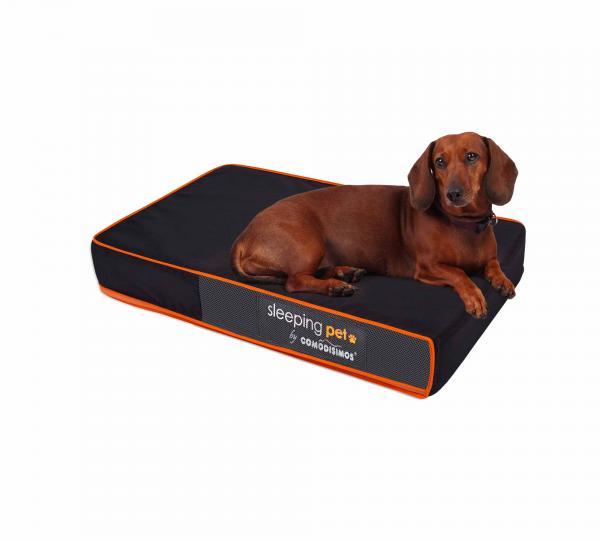 Bed for Dog Cozy Sweet Image
