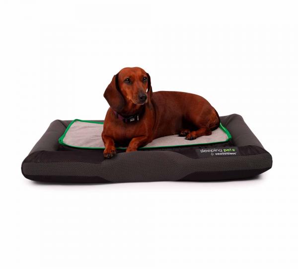 Bed for Dog Cozy Fun Image