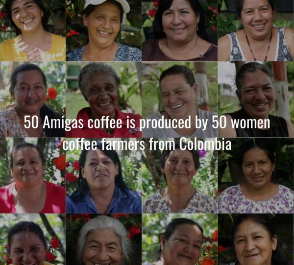 50 Amigas Coffee - Dulcinea Edition, 12 Oz | Arabica, Whole Bean Coffee, Medium Roast, Direct Trade Women Farmers, Single Origin Image