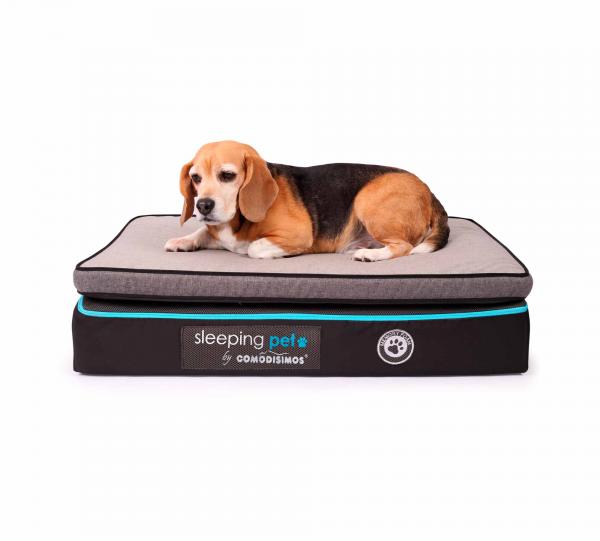 Bed for dog Cozy Coils Image