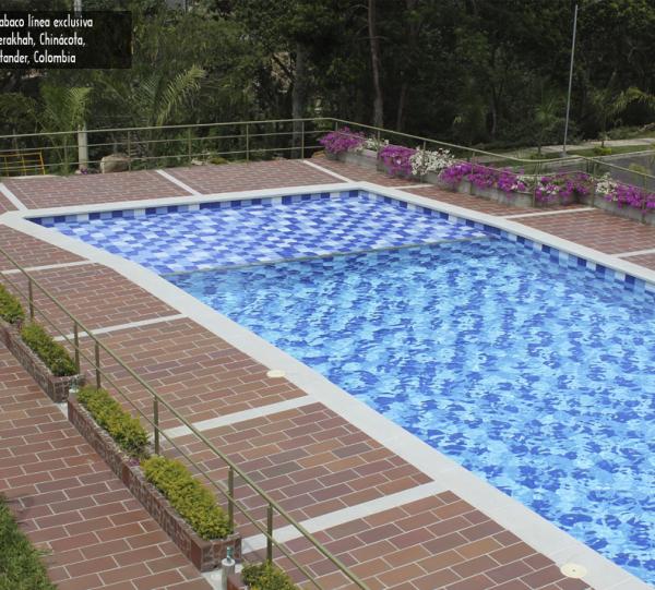 Clay floor tile 40x20 exclusive line Image