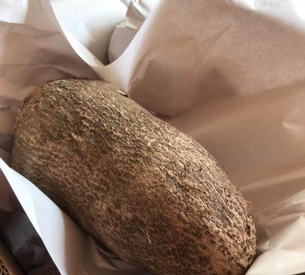 Yam Image