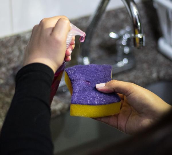 DOUBLE USE SCRUBBER SPONGES