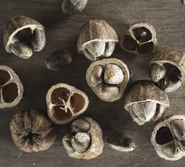 100% cacay oil Image