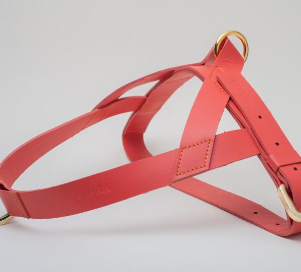 HARNESSES Image