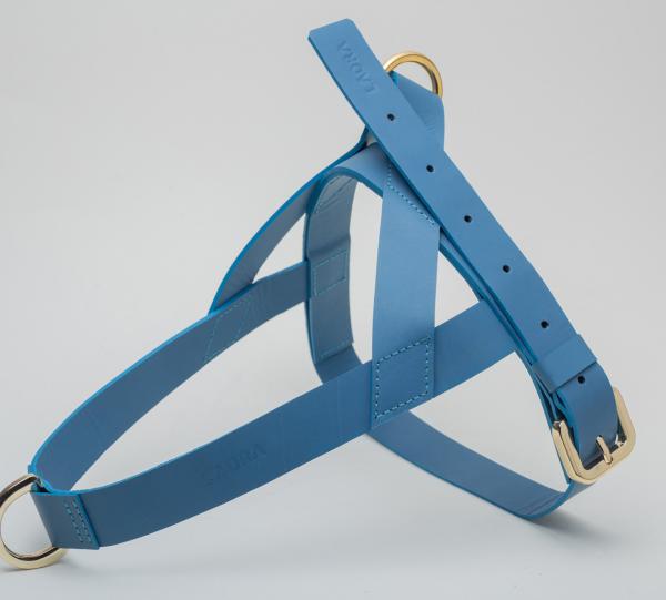 HARNESSES Image
