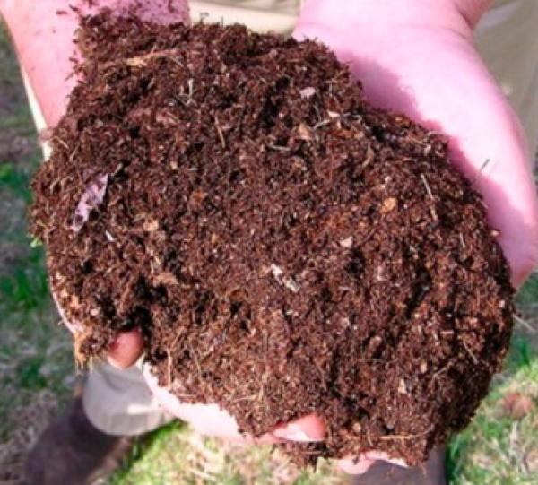 ORGANIC FERTILIZER Image