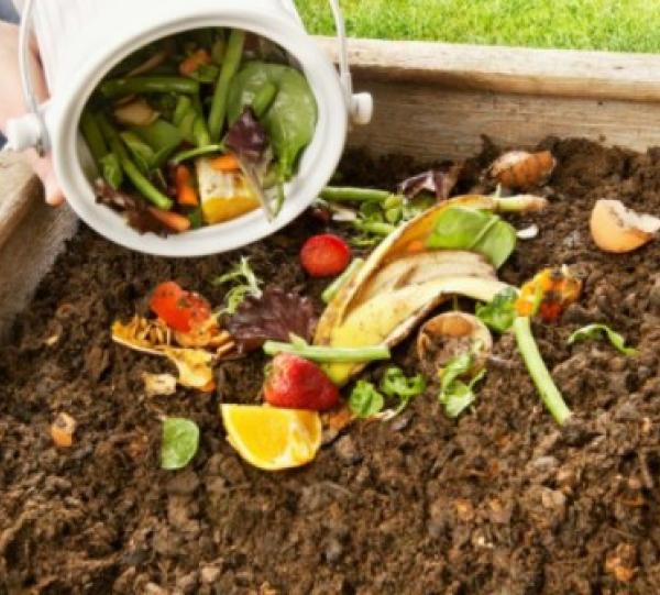 ORGANIC FERTILIZER Image