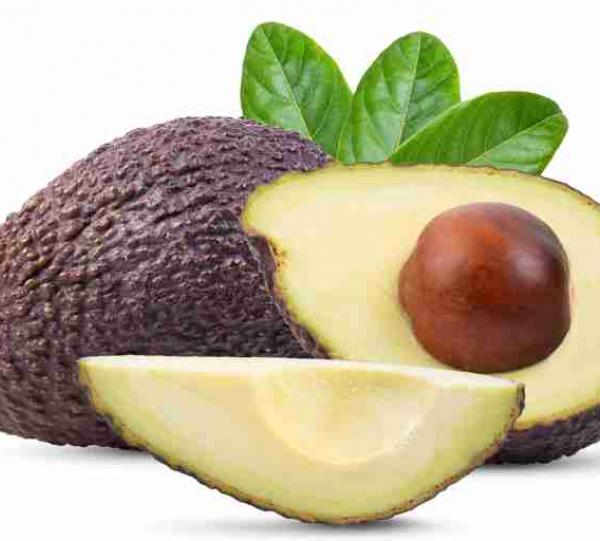Avocado Hass Image