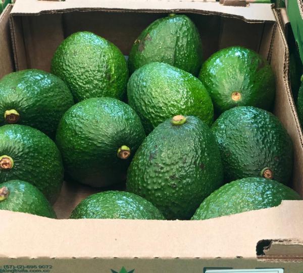 Hass Avocado - Persea Americana (Mill) Image