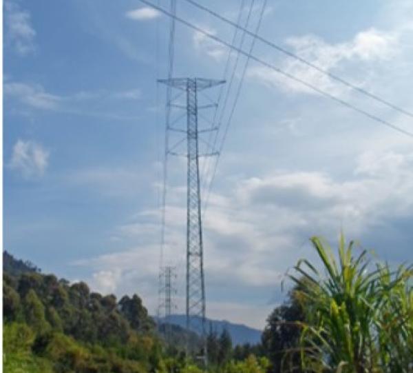 Environmental Consulting Image