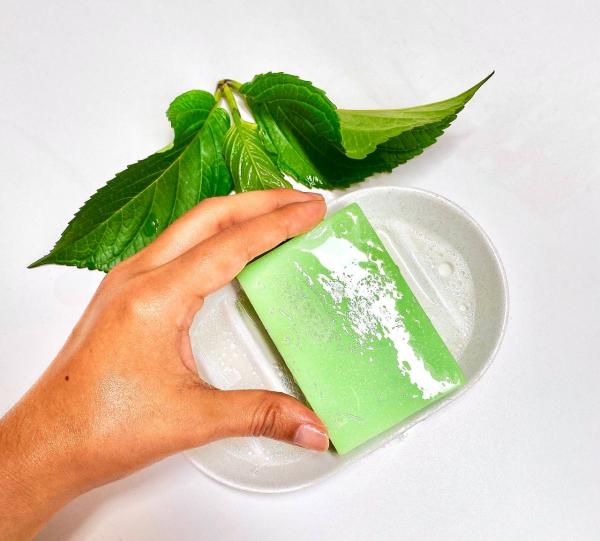 NATURAL SOAP WITH CDB, ROSEHIP AND TEA TREE Image