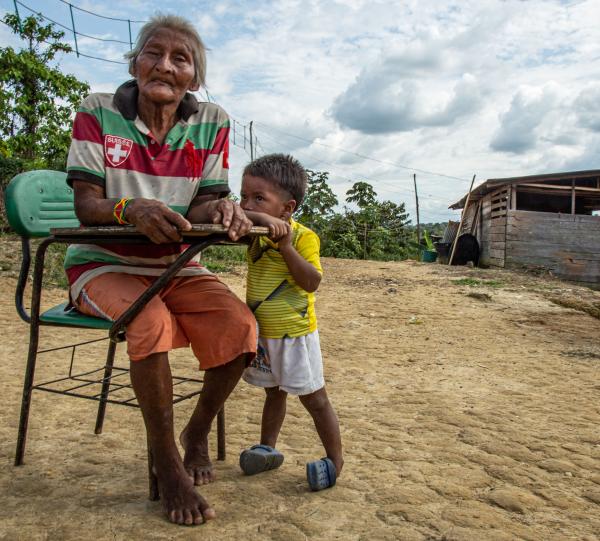 Artemisia (short film documentary/animation) Image