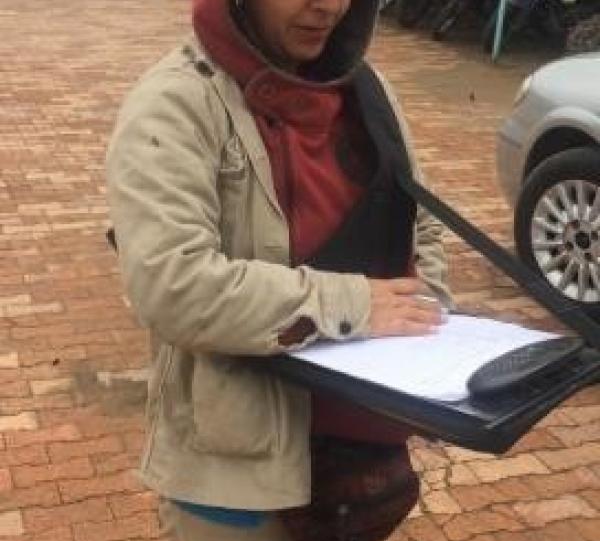 Free-hand harness Image