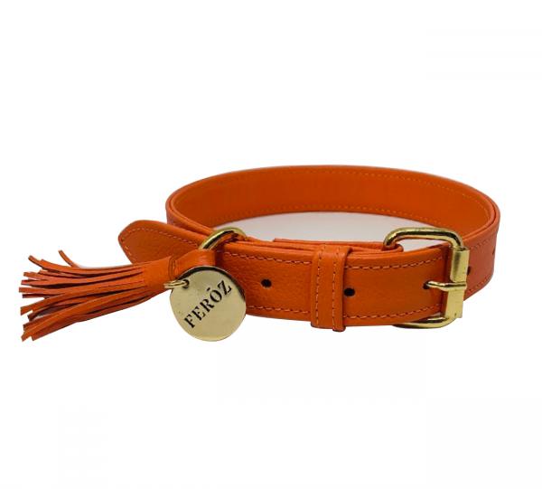 Dog Leather Collar Image
