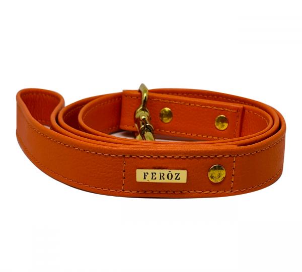 Dog Leather Leash Image