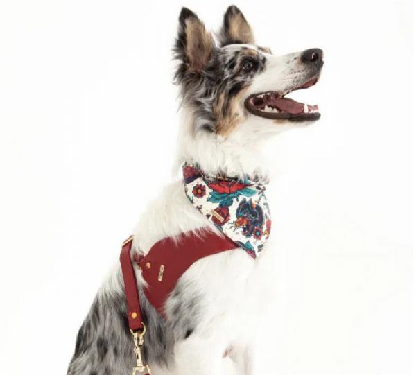 Dog Leather Harness Image
