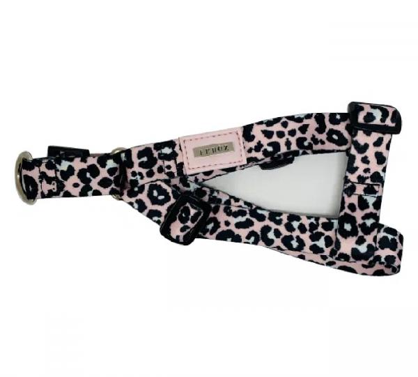 Canvas Harness Image