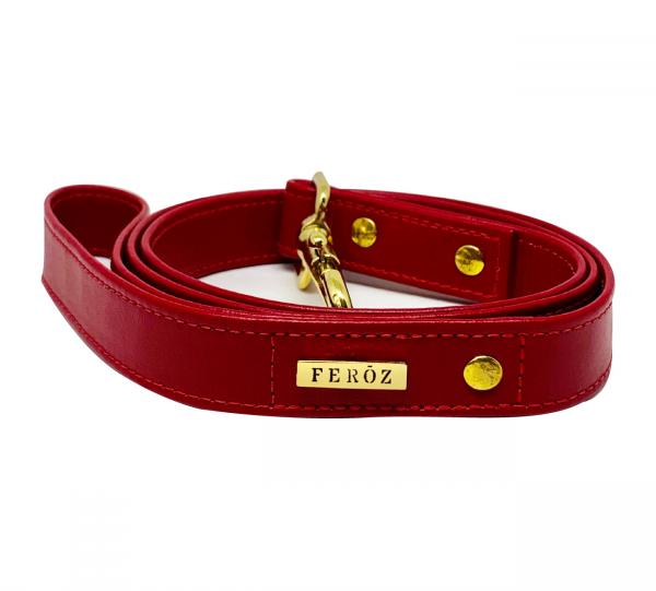 Dog Leather Leash Image