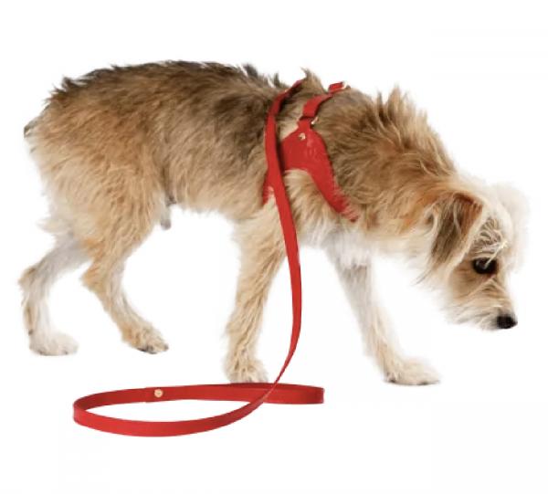 Dog Leather Leash Image