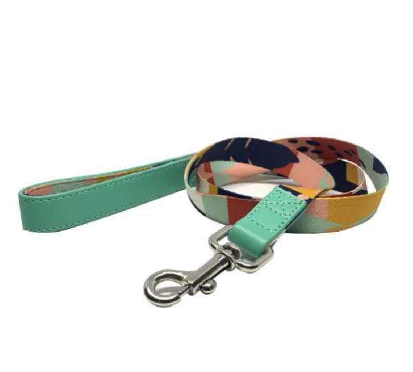 Canvas and Vegan Leather Leash - ABSTRACT CITY Image