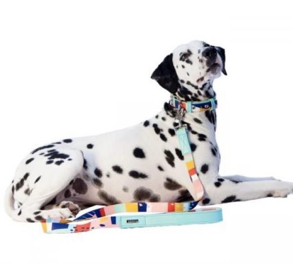 Canvas and Vegan Leather Leash - ABSTRACT CITY Image