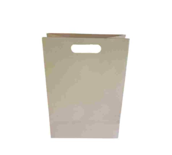 Sugarcane bagasse bags Image