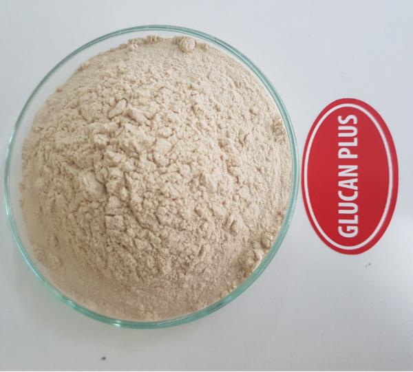 BETA GLUCAN PLUS Image
