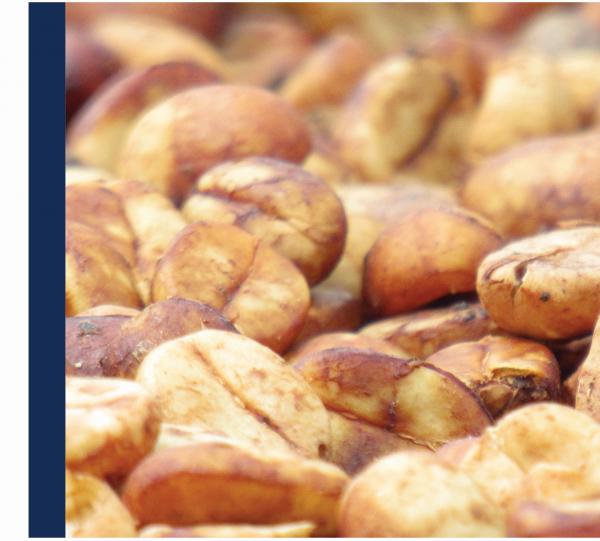 GREEN COFFEE - MICROLOTS - 86+ Image