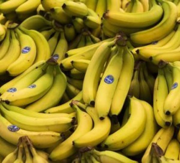 BANANO CAVENDISH Image