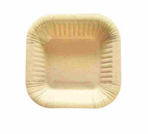 Sugarcane bagasse trays Image