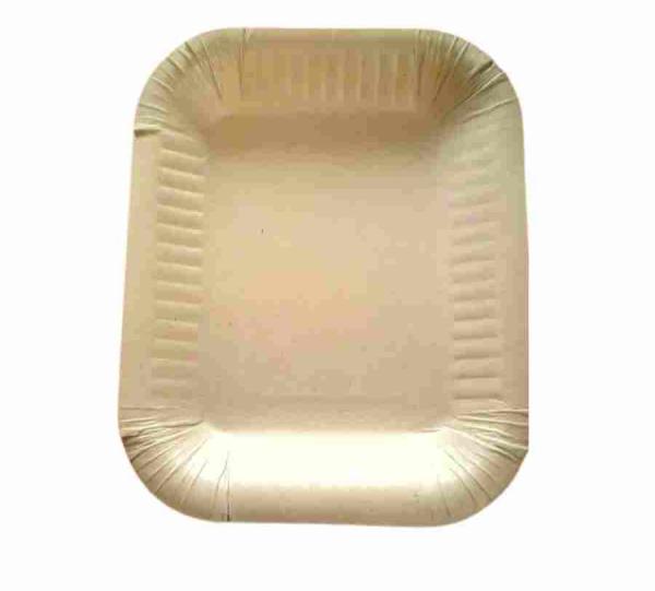 Sugarcane bagasse trays Image