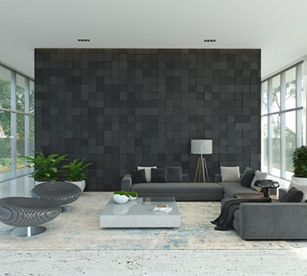 Lienzo Bassalto Image