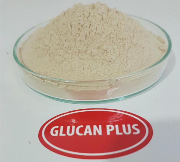BETA GLUCAN PLUS Image