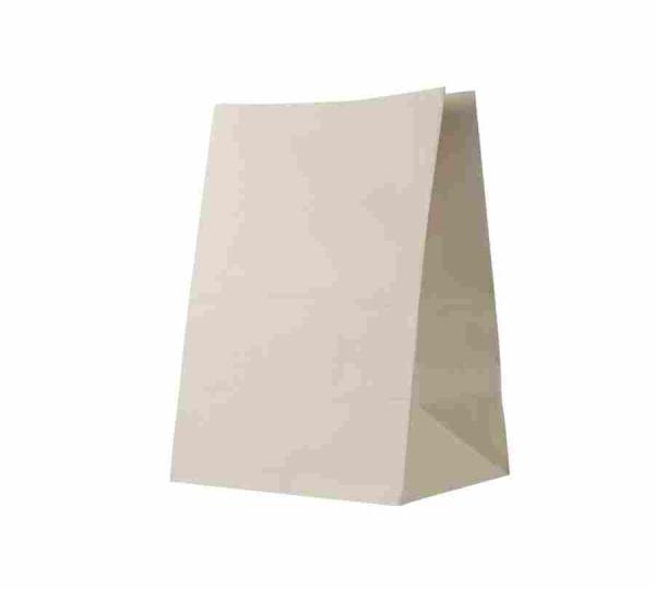 Sugarcane bagasse bags Image