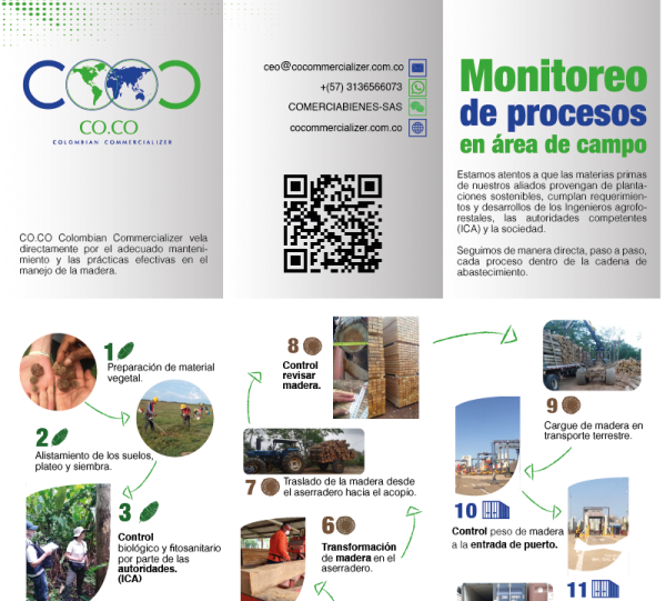 Teak wood blocks Image