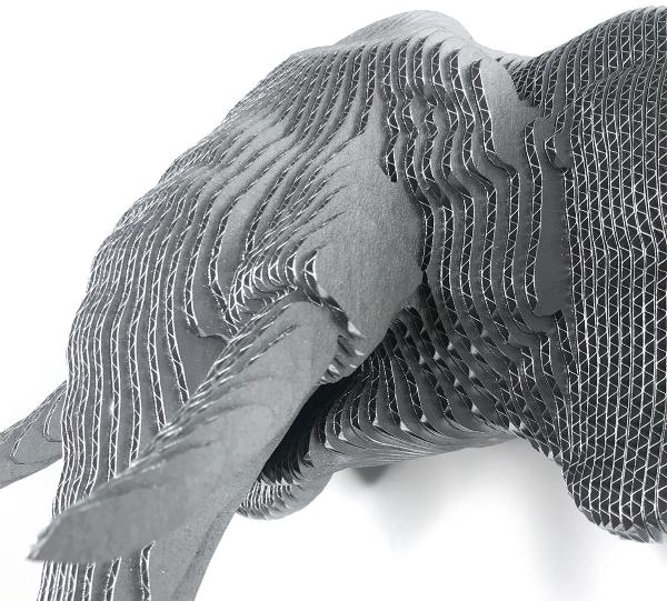 ELEPHANTS HEAD Image