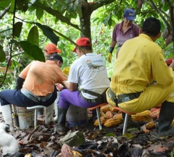 TAVITA Slef-portable high Image