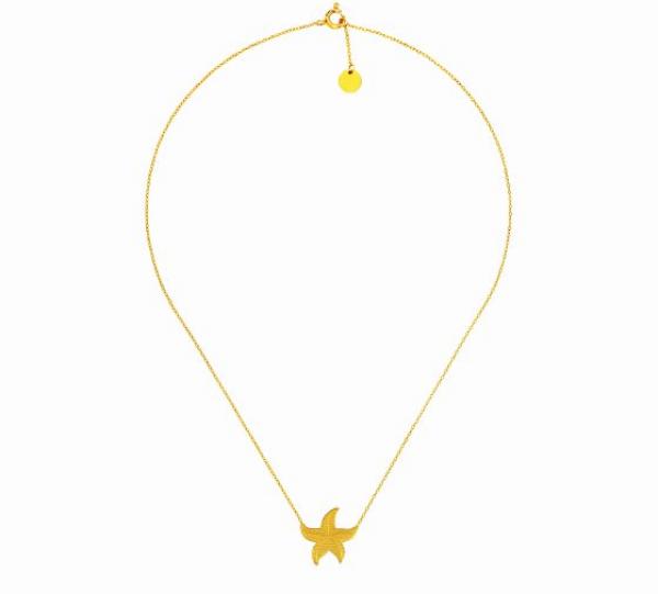 Starfish Necklace Image