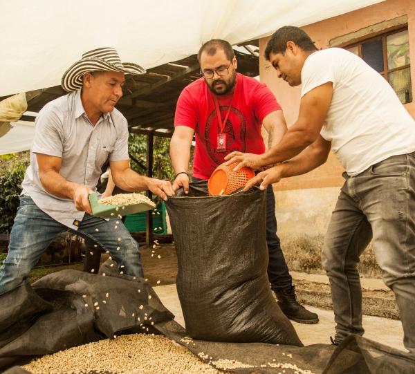 Don Diaz Green specialty Colombian coffee beans Image