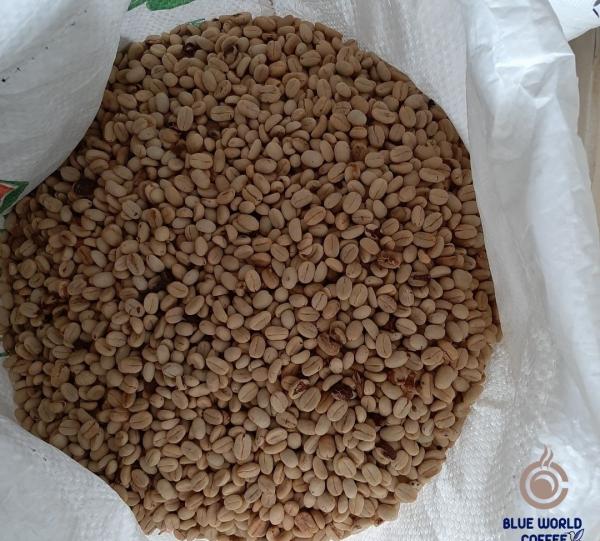 Roasted Coffee Beand Image